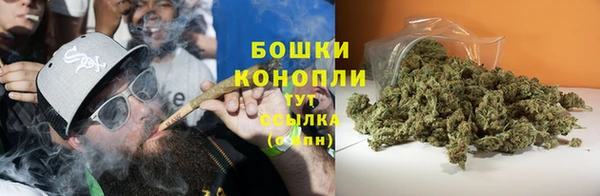 дживик Белоозёрский
