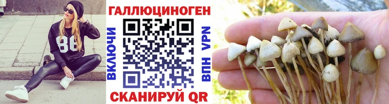 что такое наркотик  Буйнакск  Галлюциногенные грибы мухоморы 